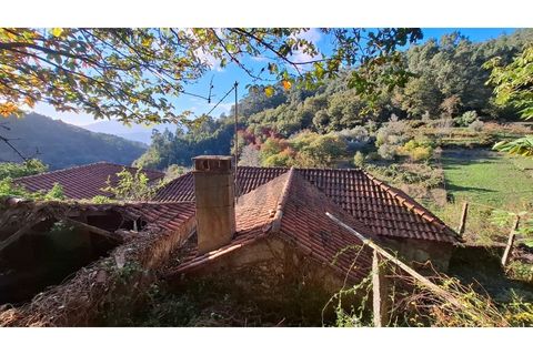 Landejendom i Ponte de Lima, Viana do Castelo, Ponte de Lima - € 115.000 | Ref: PTL-1247-JD-1125 - foto 17