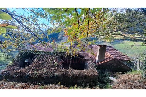 Landejendom i Ponte de Lima, Viana do Castelo, Ponte de Lima - € 115.000 | Ref: PTL-1247-JD-1125 - foto 18