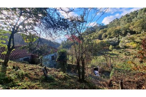 Landejendom i Ponte de Lima, Viana do Castelo, Ponte de Lima - € 115.000 | Ref: PTL-1247-JD-1125 - foto 19