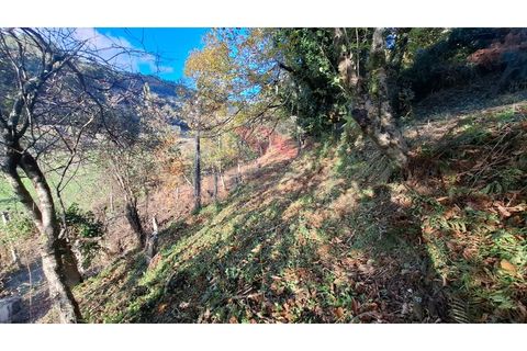Landejendom i Ponte de Lima, Viana do Castelo, Ponte de Lima - € 115.000 | Ref: PTL-1247-JD-1125 - foto 21