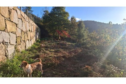 Landejendom i Ponte de Lima, Viana do Castelo, Ponte de Lima - € 115.000 | Ref: PTL-1247-JD-1125 - foto 23