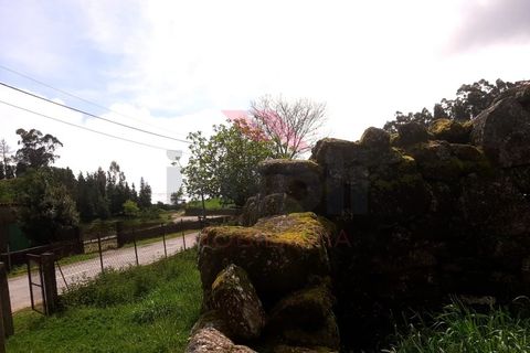 Ruinere i Ponte de Lima, Viana do Castelo, Ponte de Lima - € 53.000 | Ref: PTL-1121-HC-0523 - foto 9
