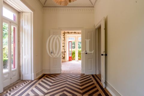 Villa i Sintra, Lisbon, Sintra - € 4.850.000 | Ref: 98443 - foto 9