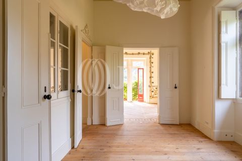 Villa i Sintra, Lisbon, Sintra - € 4.850.000 | Ref: 98443 - foto 12