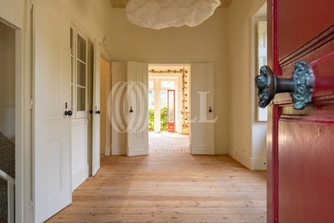 Villa i Sintra, Lisbon, Sintra - € 4.850.000 | Ref: 98443 - foto 47