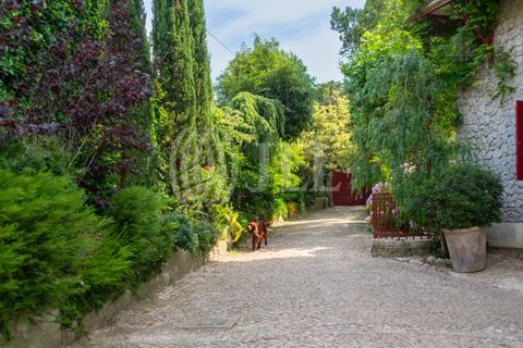 Villa i Sintra, Lisbon, Sintra - € 4.850.000 | Ref: 98443 - foto 50
