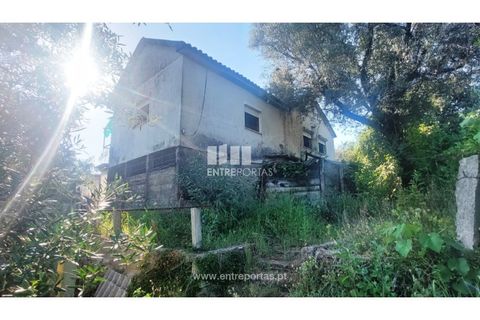 Villa i Ponte de Lima, Viana do Castelo, Ponte de Lima - € 195.000 | Ref: VCM14251 - foto 4