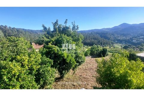 Villa i Ponte de Lima, Viana do Castelo, Ponte de Lima - € 195.000 | Ref: VCM14251 - foto 21