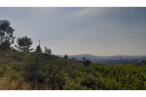 Helårsgrund i Amarante, Porto, Amarante - € 1.550.000 | Ref: MC09938 - foto 8