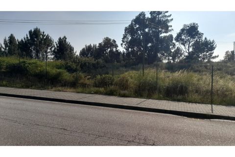 Helårsgrund i Amarante, Porto, Amarante - € 1.550.000 | Ref: MC09938 - foto 10