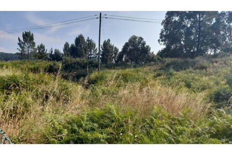 Helårsgrund i Amarante, Porto, Amarante - € 1.550.000 | Ref: MC09938 - foto 12