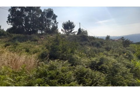 Helårsgrund i Amarante, Porto, Amarante - € 1.550.000 | Ref: MC09938 - foto 13