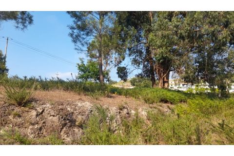 Helårsgrund i Amarante, Porto, Amarante - € 1.550.000 | Ref: MC09938 - foto 14