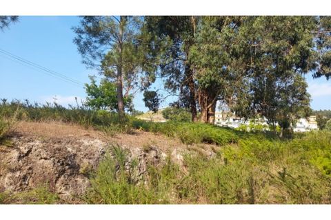 Helårsgrund i Amarante, Porto, Amarante - € 1.550.000 | Ref: MC09938 - foto 19