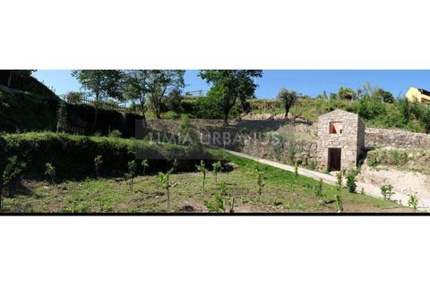Farm i Ponte de Lima, Viana do Castelo, Ponte de Lima - € 350.000 | Ref: MAS_1131 - foto 5