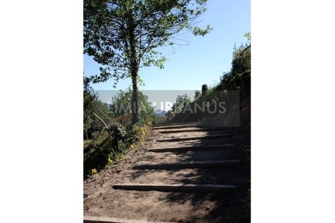 Farm i Ponte de Lima, Viana do Castelo, Ponte de Lima - € 350.000 | Ref: MAS_1131 - foto 11