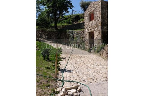 Farm i Ponte de Lima, Viana do Castelo, Ponte de Lima - € 350.000 | Ref: MAS_1131 - foto 18