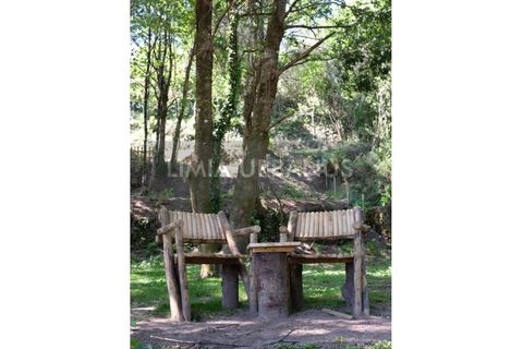 Farm i Ponte de Lima, Viana do Castelo, Ponte de Lima - € 350.000 | Ref: MAS_1131 - foto 19