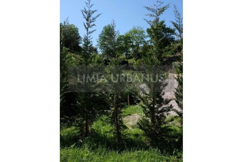 Farm i Ponte de Lima, Viana do Castelo, Ponte de Lima - € 350.000 | Ref: MAS_1131 - foto 20