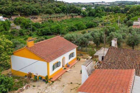 Farm i Borba, Evora, Borba - € 498.000 | Ref: MAS_497 - foto 1