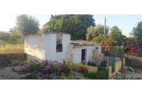 Farm i Borba, Evora, Borba - € 498.000 | Ref: MAS_497 - foto 9