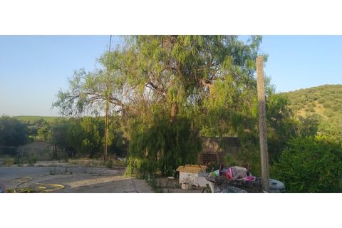 Farm i Borba, Evora, Borba - € 498.000 | Ref: MAS_497 - foto 11