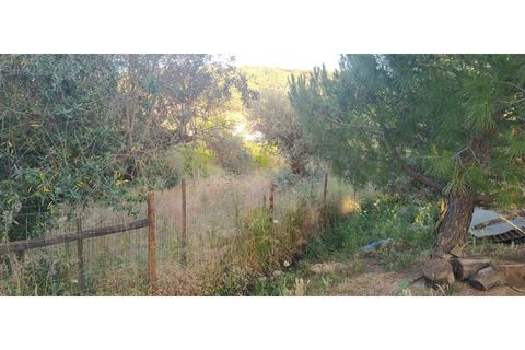 Farm i Borba, Evora, Borba - € 498.000 | Ref: MAS_497 - foto 15