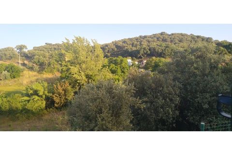 Farm i Borba, Evora, Borba - € 498.000 | Ref: MAS_497 - foto 19