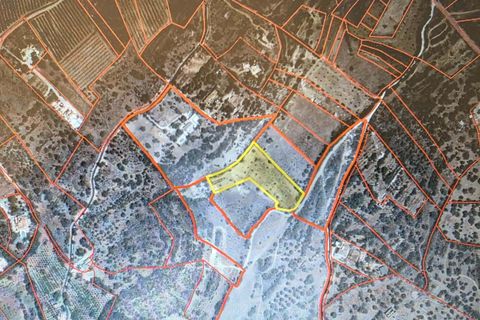 Helårsgrund i Lagoa, Faro, Lagoa - € 56.500 | Ref: KWPT-034912 - foto 2