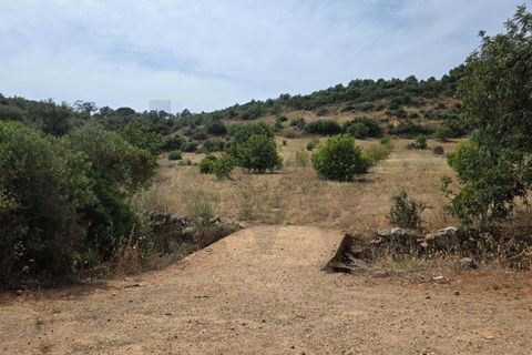 Helårsgrund i Lagoa, Faro, Lagoa - € 56.500 | Ref: KWPT-034912 - foto 4