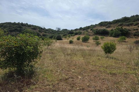 Helårsgrund i Lagoa, Faro, Lagoa - € 56.500 | Ref: KWPT-034912 - foto 5