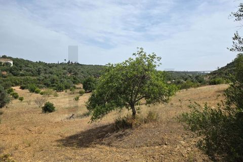 Helårsgrund i Lagoa, Faro, Lagoa - € 56.500 | Ref: KWPT-034912 - foto 6