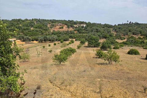 Helårsgrund i Lagoa, Faro, Lagoa - € 56.500 | Ref: KWPT-034912 - foto 7