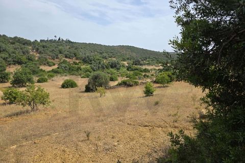 Helårsgrund i Lagoa, Faro, Lagoa - € 56.500 | Ref: KWPT-034912 - foto 8
