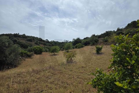 Helårsgrund i Lagoa, Faro, Lagoa - € 56.500 | Ref: KWPT-034912 - foto 9
