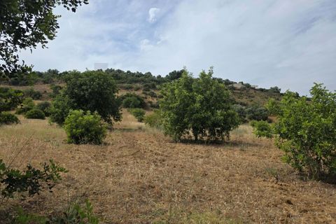 Helårsgrund i Lagoa, Faro, Lagoa - € 56.500 | Ref: KWPT-034912 - foto 12