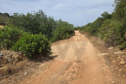 Helårsgrund i Lagoa, Faro, Lagoa - € 56.500 | Ref: KWPT-034912 - foto 14