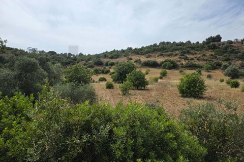 Helårsgrund i Lagoa, Faro, Lagoa - € 56.500 | Ref: KWPT-034912 - foto 15