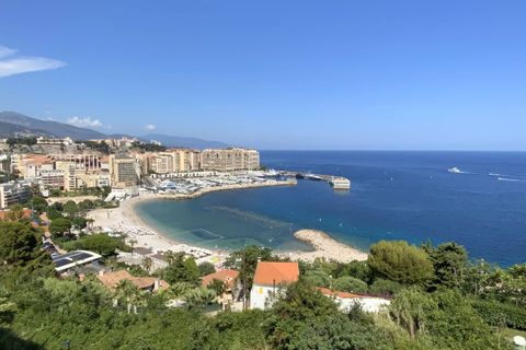 Lejlighed i Cap-d'Ail, Alpes-Maritimes, Cap-d'Ail - € 440.000 | Ref: 4529 - foto 14