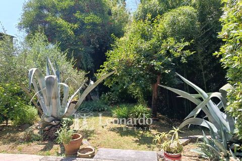 Villa i Massarosa, Lucca, Massarosa - € 320.000 | Ref: B895 - foto 33