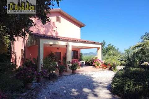 Villa - Offida, Ascoli Piceno, Offida - € 450 000 | Réf : 166 - photo 2