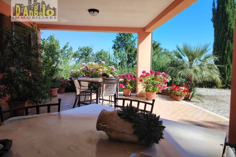 Villa - Offida, Ascoli Piceno, Offida - € 450 000 | Réf : 166 - photo 5