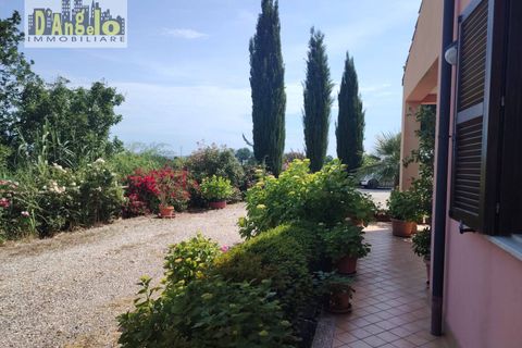 Villa - Offida, Ascoli Piceno, Offida - € 450 000 | Réf : 166 - photo 32