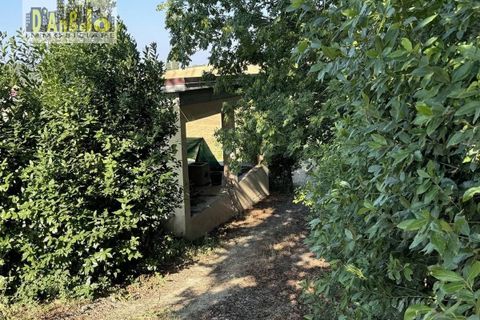 Villa - Offida, Ascoli Piceno, Offida - € 450 000 | Réf : 166 - photo 34