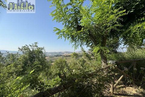 Villa - Offida, Ascoli Piceno, Offida - € 450 000 | Réf : 166 - photo 35