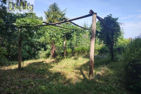 Villa - Offida, Ascoli Piceno, Offida - € 450 000 | Réf : 166 - photo 36