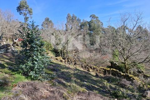 Helårsgrund i Arcos de Valdevez, Viana do Castelo, Arcos de Valdevez - € 25.000 | Ref: UNU.I.239.23362 - foto 7