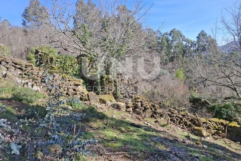Helårsgrund i Arcos de Valdevez, Viana do Castelo, Arcos de Valdevez - € 25.000 | Ref: UNU.I.239.23362 - foto 8