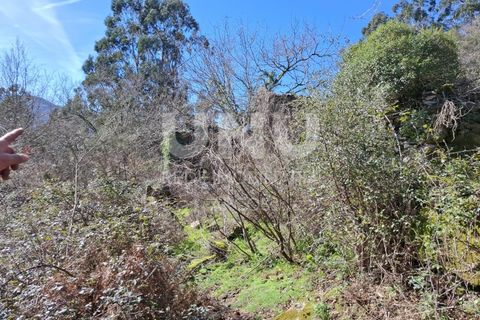 Helårsgrund i Arcos de Valdevez, Viana do Castelo, Arcos de Valdevez - € 25.000 | Ref: UNU.I.239.23362 - foto 9