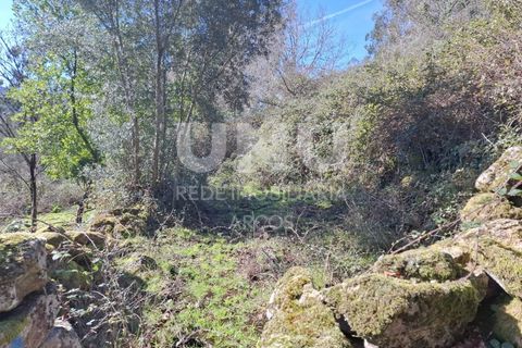 Helårsgrund i Arcos de Valdevez, Viana do Castelo, Arcos de Valdevez - € 25.000 | Ref: UNU.I.239.23362 - foto 10